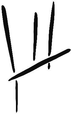 Image of the occurrence